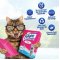 Felight Febreze Süper Beyaz Bentonit Topaklanan Kedi Kumu 6lt