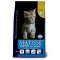 Matisse Kitten Tavuklu Yavru Kedi Maması 10 Kg