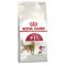 Royal Canin Fit 32 Yetişkin Kedi Maması 4 Kg