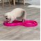 Trixie Kedi Oyuncak, Top Kovalama, 65cmx31cm Pembe