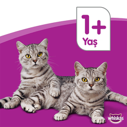 WHISKAS Ton Balıklı Kuru Kedi Maması 3.8KG