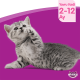 WHISKAS® Tavuklu Kuru Yavru Kedi Maması 2KG