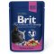 Brit Premium Salmon Trout Kedi Yaş Maması 100 Gr